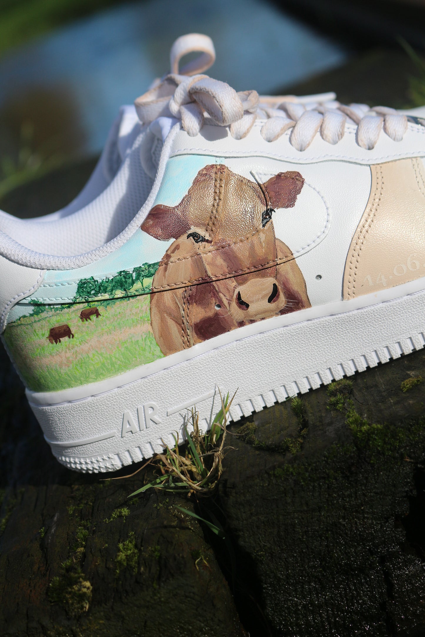Custom Farm Nike Air Force
